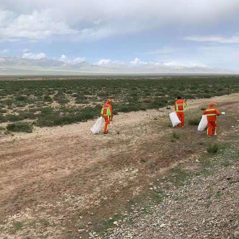 打造“畅、安、舒、美”公路，助力路域环境整治