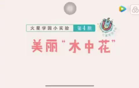 滨河幼儿园停课不停学～科学小游戏