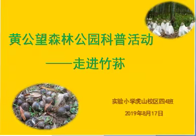 走近竹荪——记实验虎山四4班科普活动