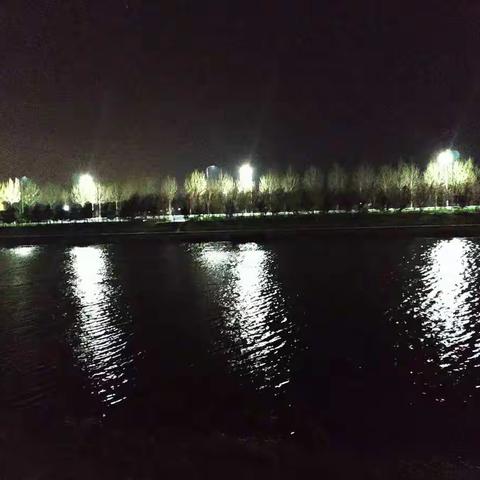 夜观玫湖