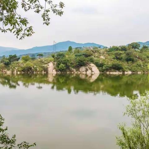 济南南山小米甲天下，还看里石村