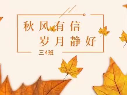 秋风有信🍂岁月静好