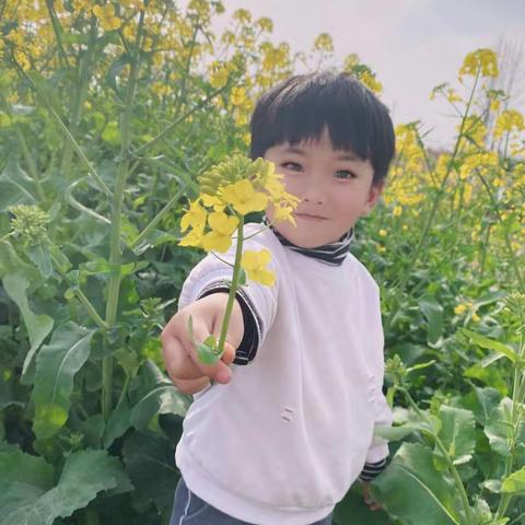 🌈行南幼儿园✨     小七班   ～                              大地回暖，“疫”散春来