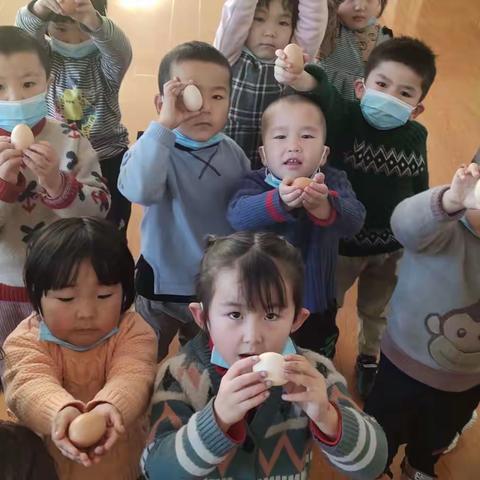 护蛋行动，用心感悟爱