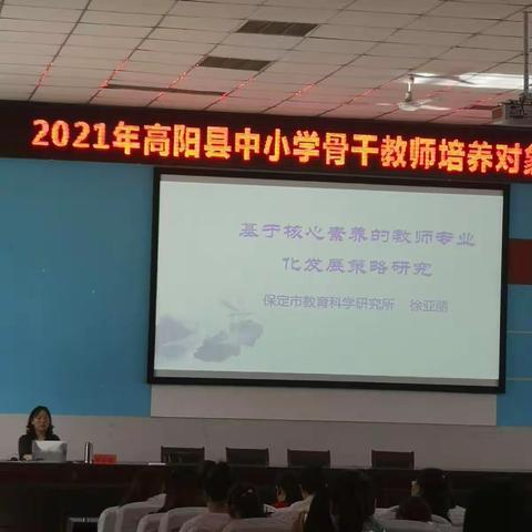 基于核心素养的教师职业化发展策略研究