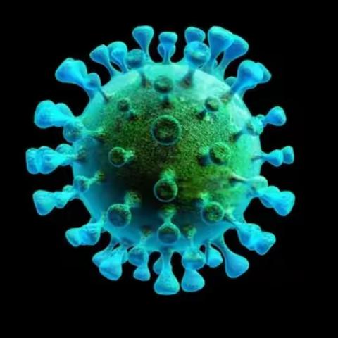 “疫”在志坚的我们