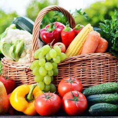 花开在童年—4.28幼儿活动推荐