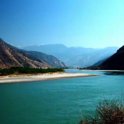 花开在童年—4.8幼儿活动推荐