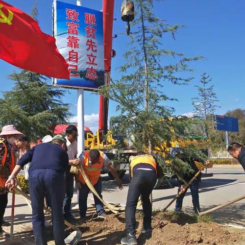 洱源县住房和城乡建设局开展义务植树活动