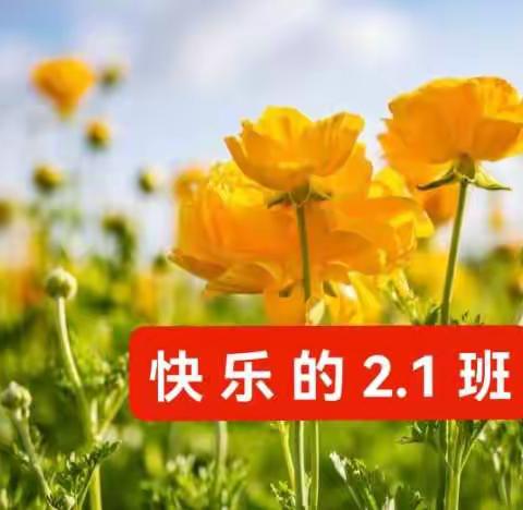 吉祥2.1班在特殊时期阳光学习，       阳光锻炼，阳光实践，勇敢面对一切困难，加油✊👊☀️🌹