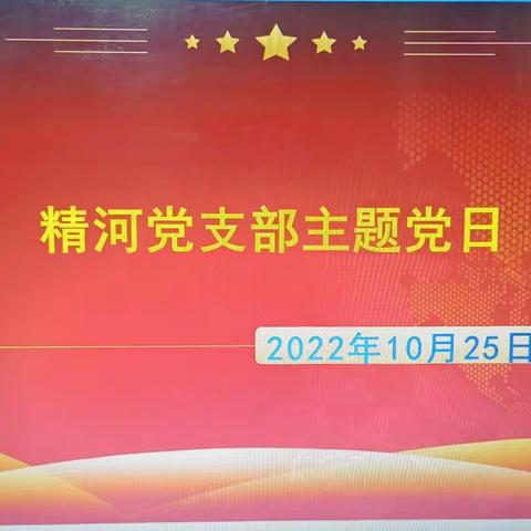 精河县党支部主题党日活动