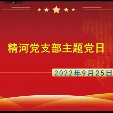 精河党支部主题党日活动