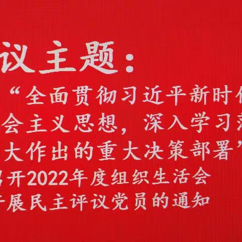 精河党支部召开2022年组织生活会和开展民主评议党员