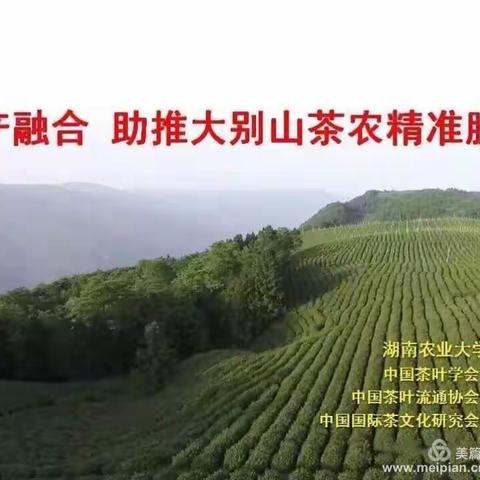 刘仲华教授：《三产融合，助推大别山区茶农精准脱贫》