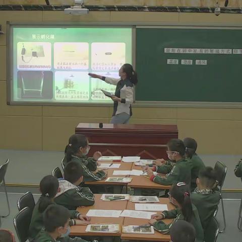 【八一小学】区科学优质课展示，团结协作共成长