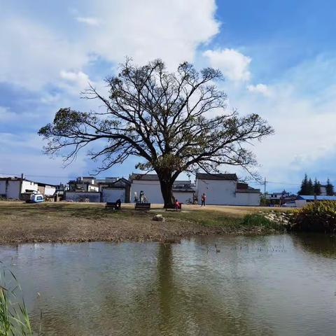 云南行之团游大理