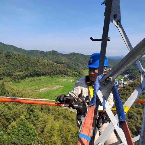 建阳公司输电运维班:自主实施更换复合绝缘子