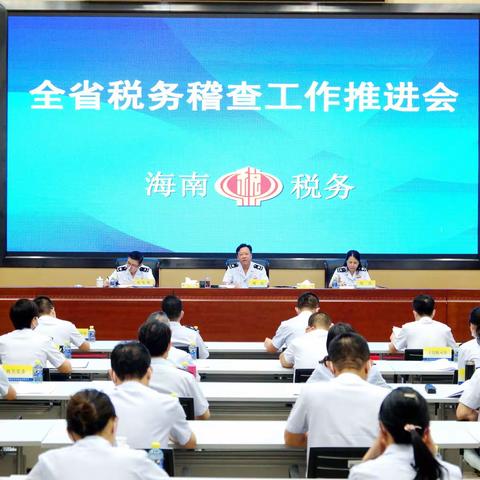 乘势而上 砥砺奋进 推进海南税务稽查高质量发展