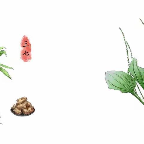 传承经典，弘扬祖国中医药文化——中医药文化进课堂迎宾路小学