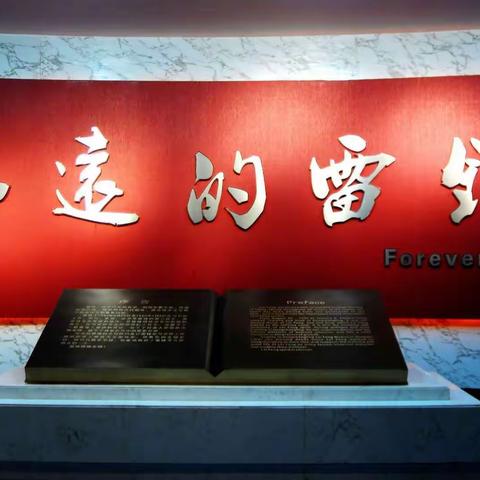 学习雷锋，共战疫情，汇聚力量，迎宾路小学二·9班