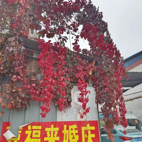 秋14
