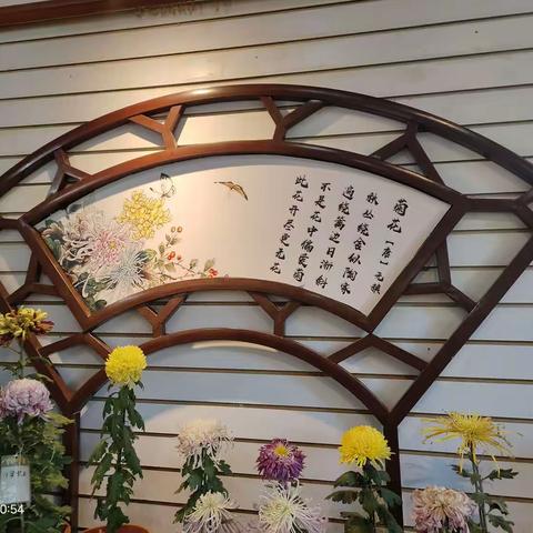 菊花展3