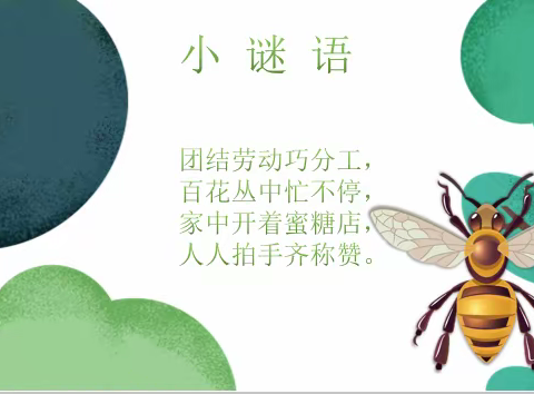 教学视导 —— 二年级美术《昆虫王国》