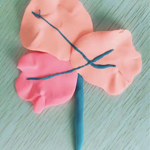 花🌹的写照                       ————幼儿心语