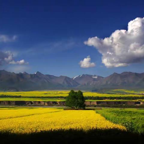 如歌的旅程—在那遥远的地方（2010）（一）