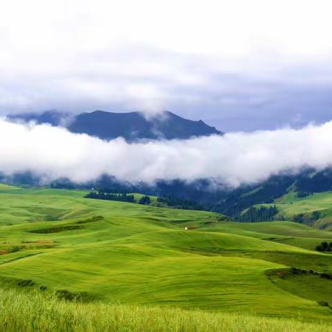 如歌的旅程—在那遥远的地方（2010）（二）