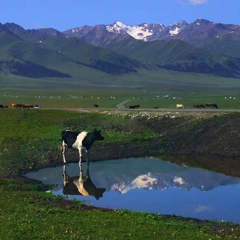 如歌的旅程—在那遥远的地方（2010）（五）