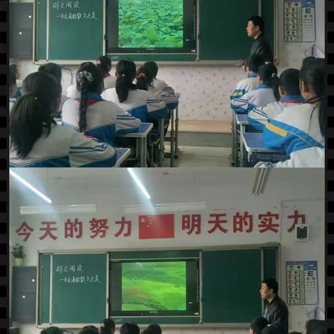 引领示范         润物无声                         ——柳林镇中心小学群文阅读示范课