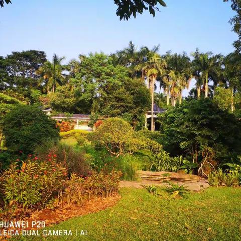 十一德天瀑布自驾游之一（珠海-湛江）