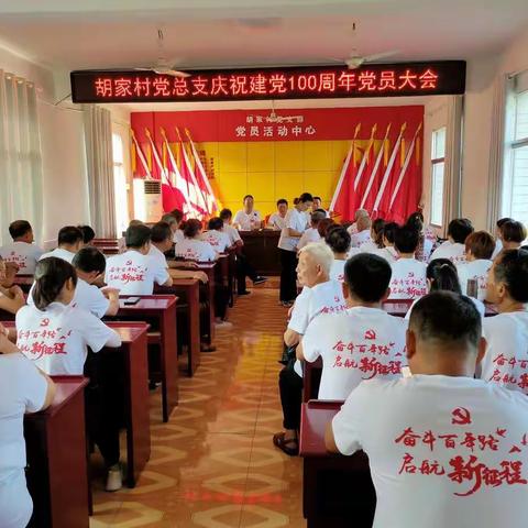 胡家村党总支隆重庆祝建党100周年活动集锦