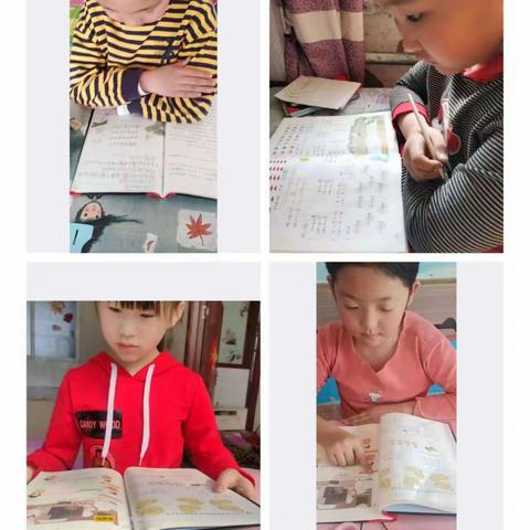 二年二班第七周线上课总结