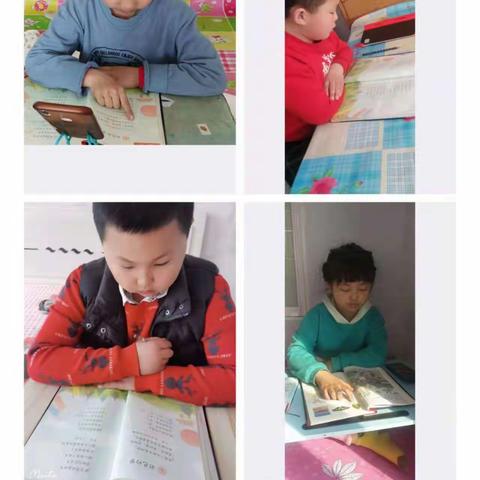 二年二班第四周线上课总结