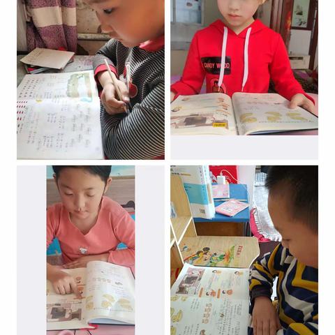 二年二班第八周线上课总结