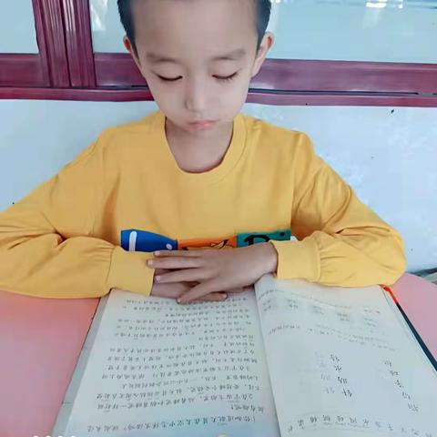 二年二班第五周线上课总结