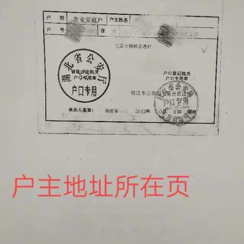 江口学校一年级报名流程