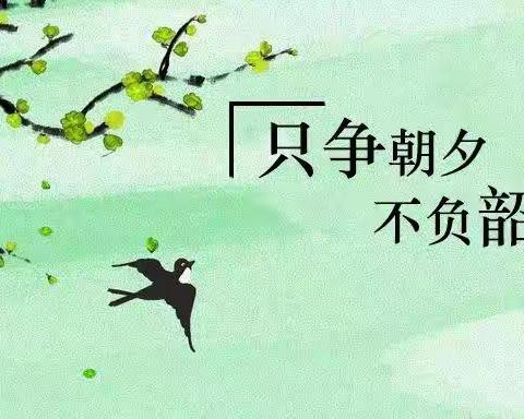 不负韶华——东湖小学雏鹰中队的快乐暑假