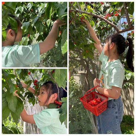 周梓滢·劳动节假期～