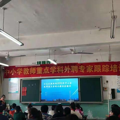 在学习中进步，在实践中成长