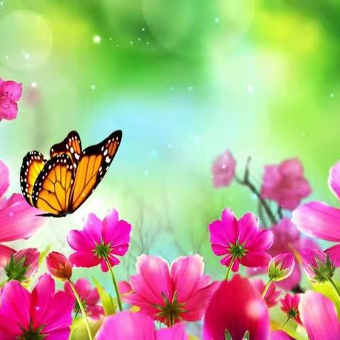 ‘’疫‘’路走远，静待花开