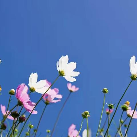 抗击疫情，线上测试