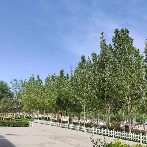 停课不停学，进步不止步