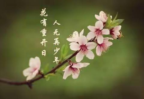 花有重开日  人无再少年——八（4）班春之摄影展