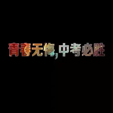 “一天一优师”初三数学工作阶段总结