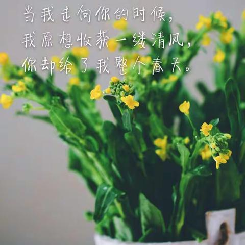 我原想收获一缕春风，你却给了我整个春天