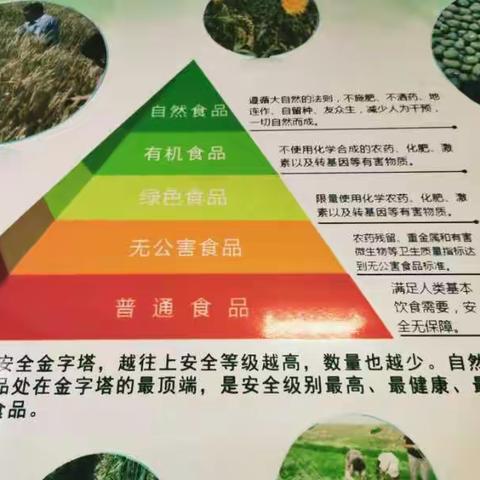 绿色菜篮子，家园共健康