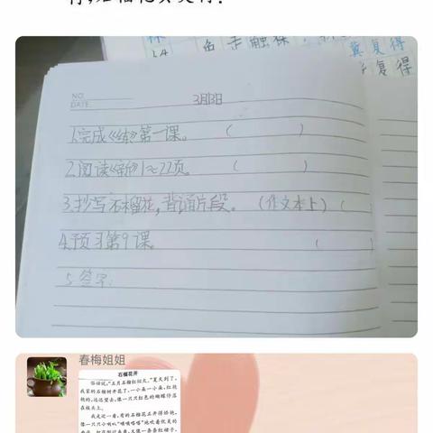执手渡余生的美篇